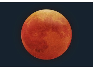 第273回　皆既日食